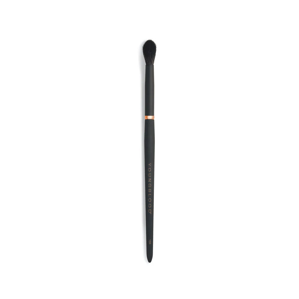 Tapered Blending Luxe Brush YB8